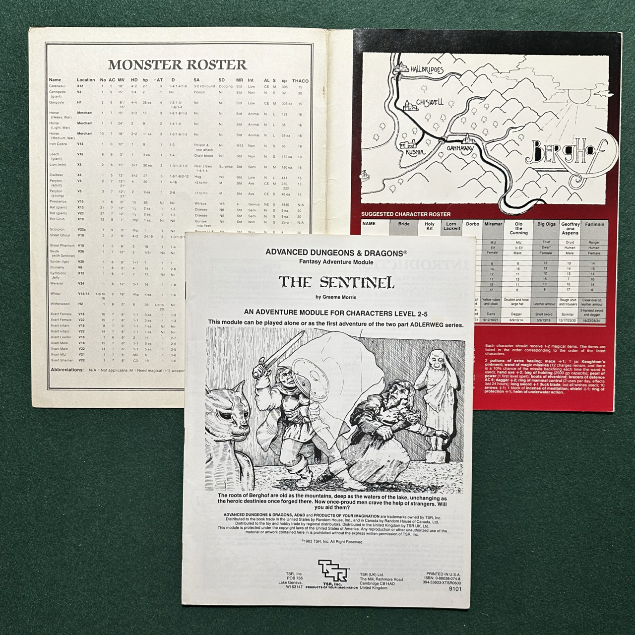 Vintage Dungeons & Dragons Adventure: AD&D The Sentinel
