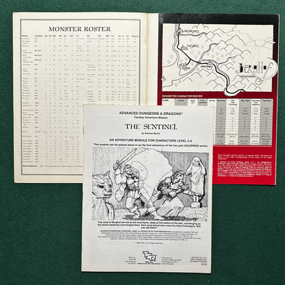 Vintage Dungeons & Dragons Adventure: AD&D The Sentinel