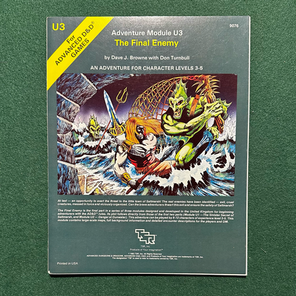 Vintage Dungeons & Dragons Adventure: AD&D The Final Enemy