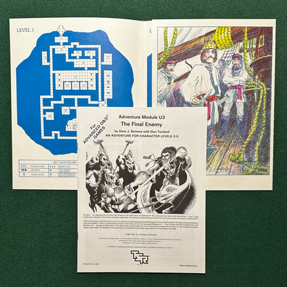 Vintage Dungeons & Dragons Adventure: AD&D The Final Enemy