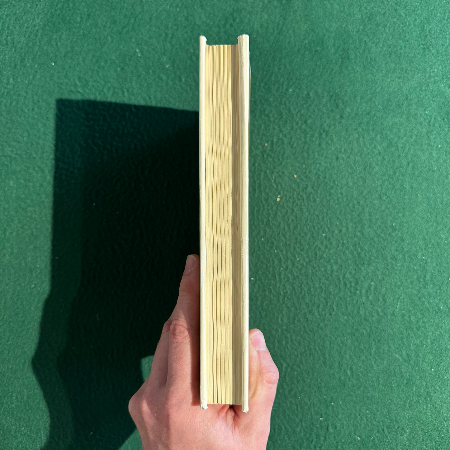 Vintage Non-Fiction Hardback: Edward Jarvis - Insanity and Idiocy in Massachusetts: Report of the commission on Lunacy, 1855