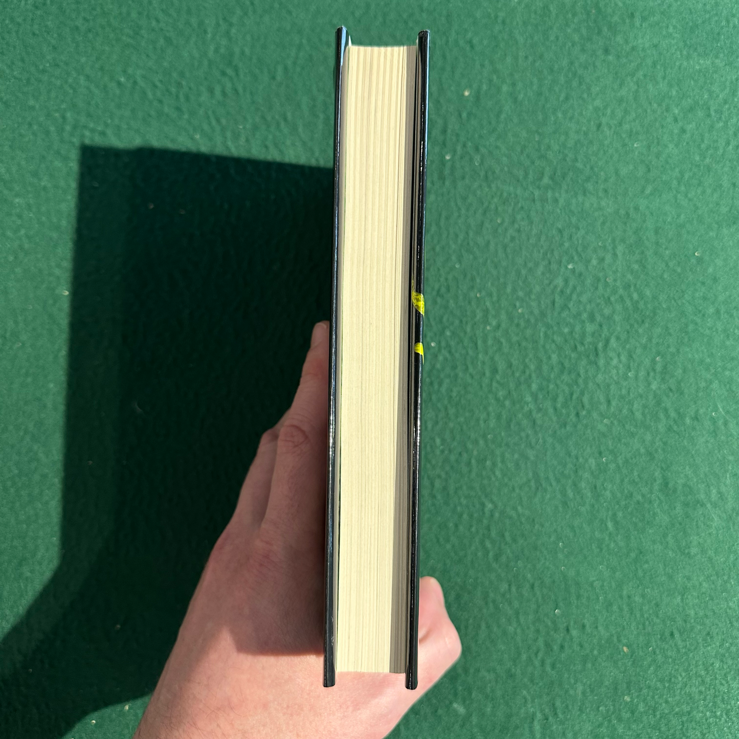 Fiction Hardback: Sherman Alexie - The Absolutely True Diary of a Part-Time Indian, 10th Anniversary Edition SIGNED FIRST PRINTING