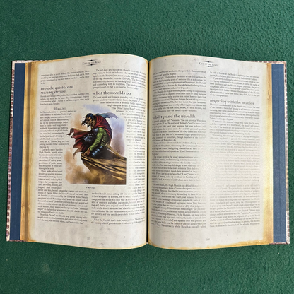 Dungeons & Dragons 3.5e Hardback: Forgotten Realms: Power of Faerun FIRST PRINTING