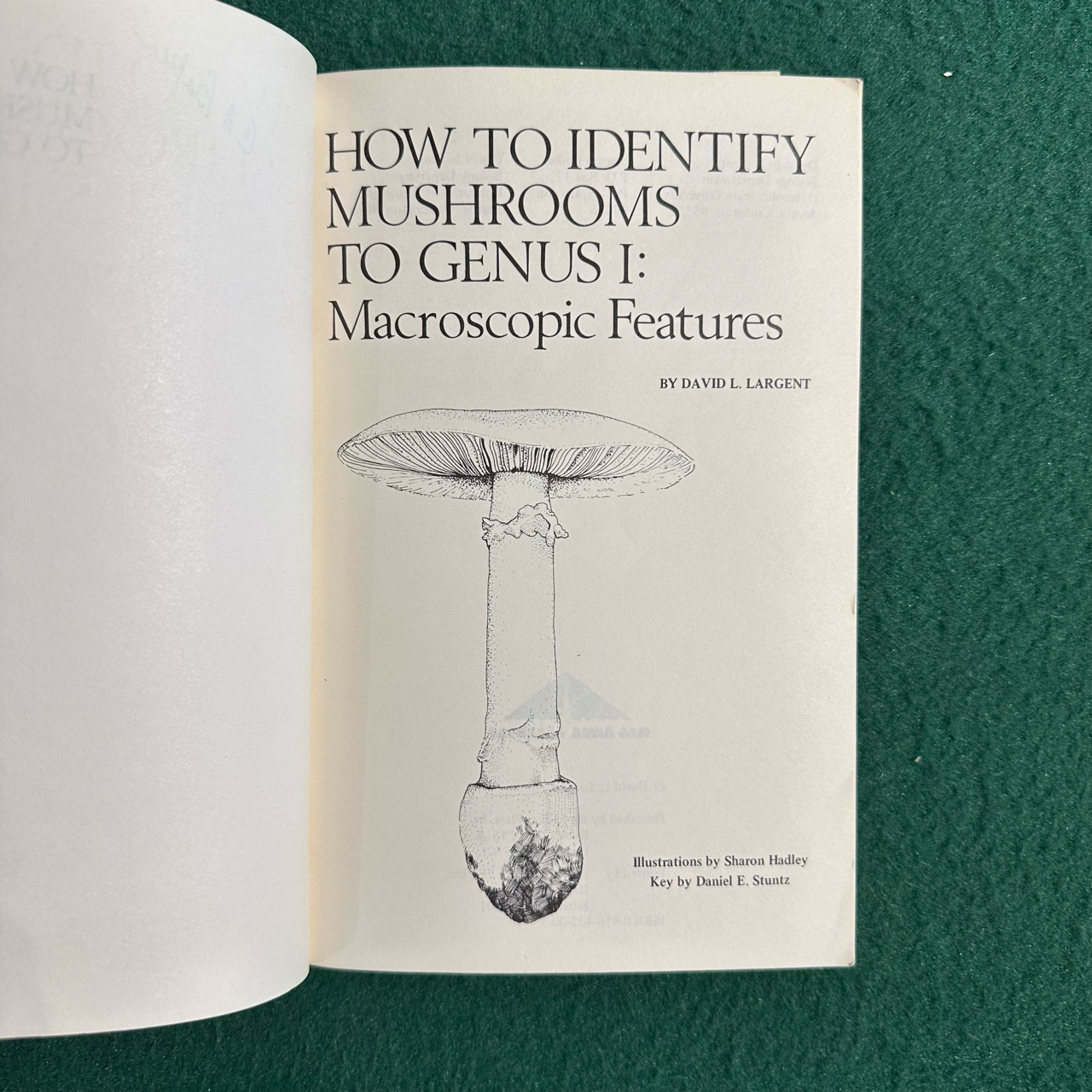 Vintage Non-Fiction Paperback: David L Largent - How to Identify Mushrooms to Genus I: Macroscopic Features