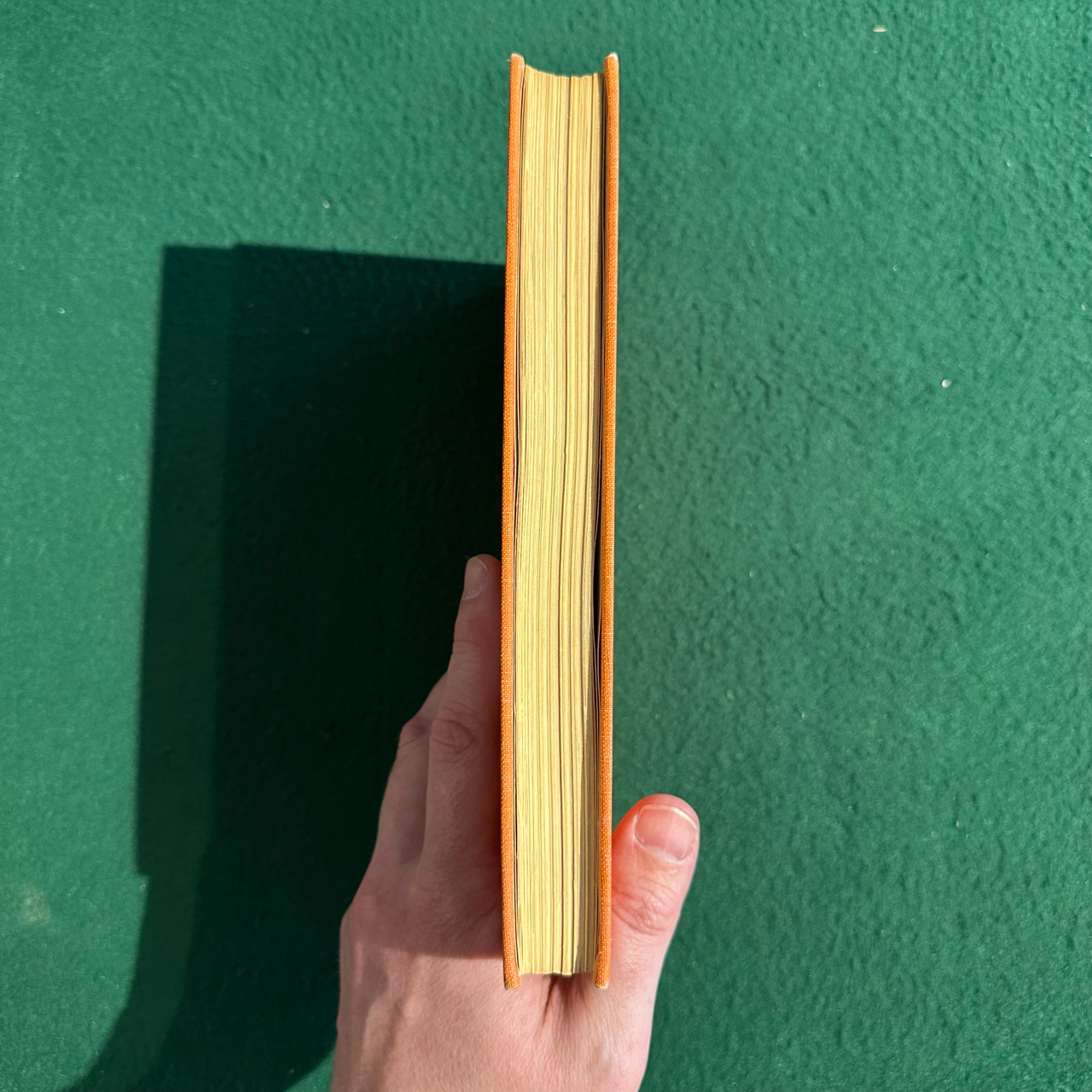 Vintage Non-Fiction Hardback: Audrey Grost - Genius in Residence