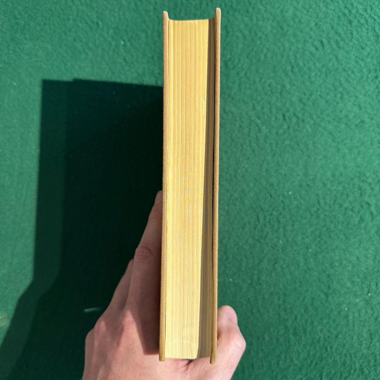 Vintage Non-Fiction Hardback: SJ Otto Muck - The Transcendental Method