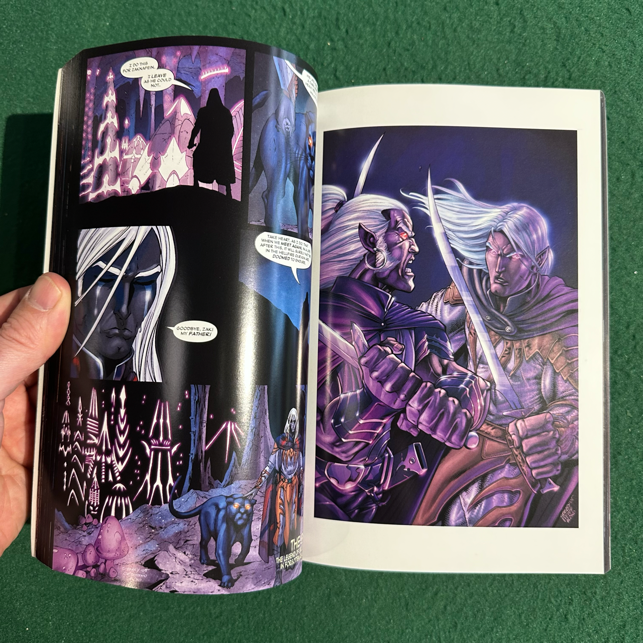 Graphic Novel Paperbacks: Dungeons & Dragons, Forgotten Realms: The Legend of Drizzt Omnibus 1 & 2