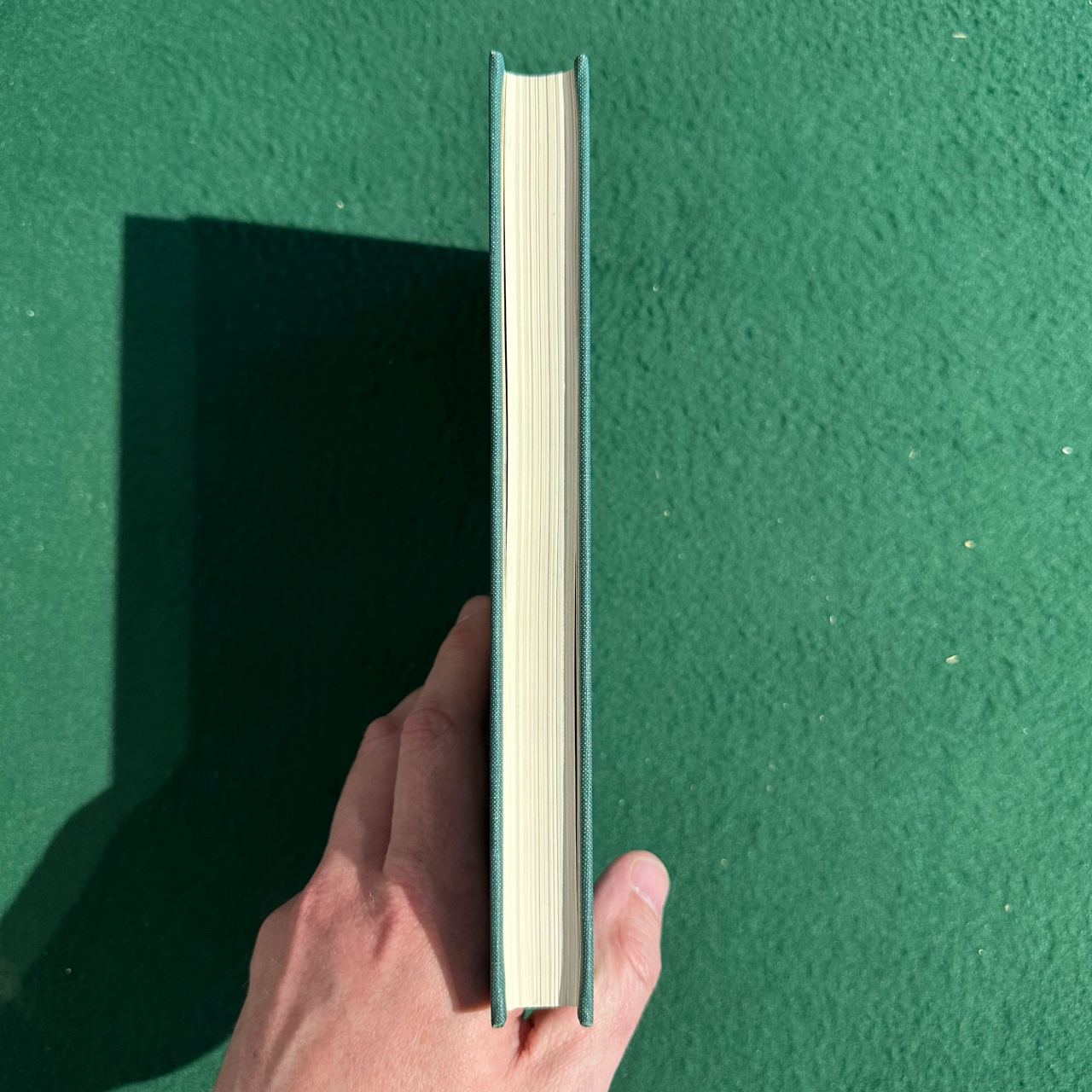 Vintage Non-Fiction Hardback: Edwin Hunt - Picture of Slavery in the United States of America 1972 REPRINT