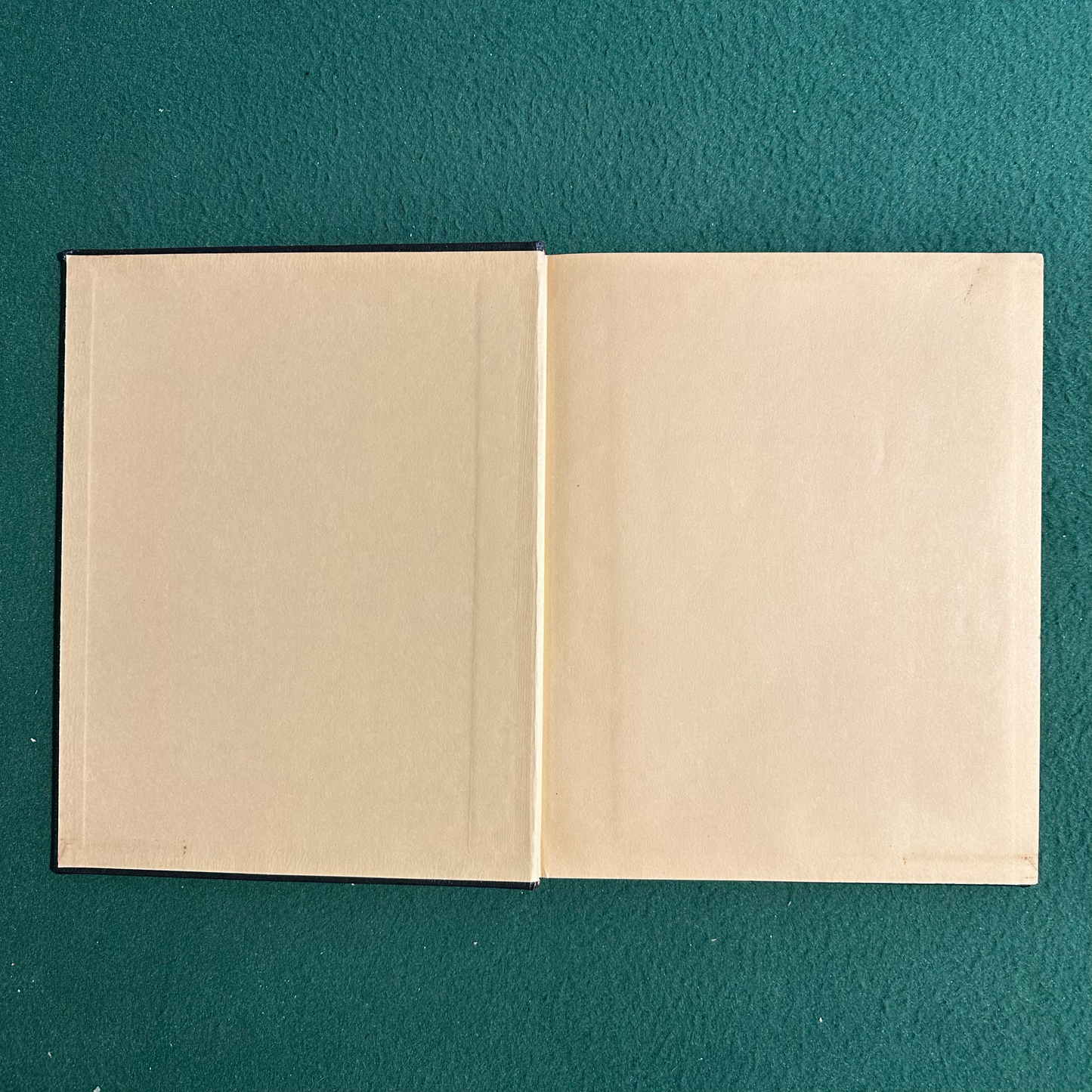 Vintage Art Hardback: Holbein's Dance of Death UNNUMBERED LIMITED EDITION