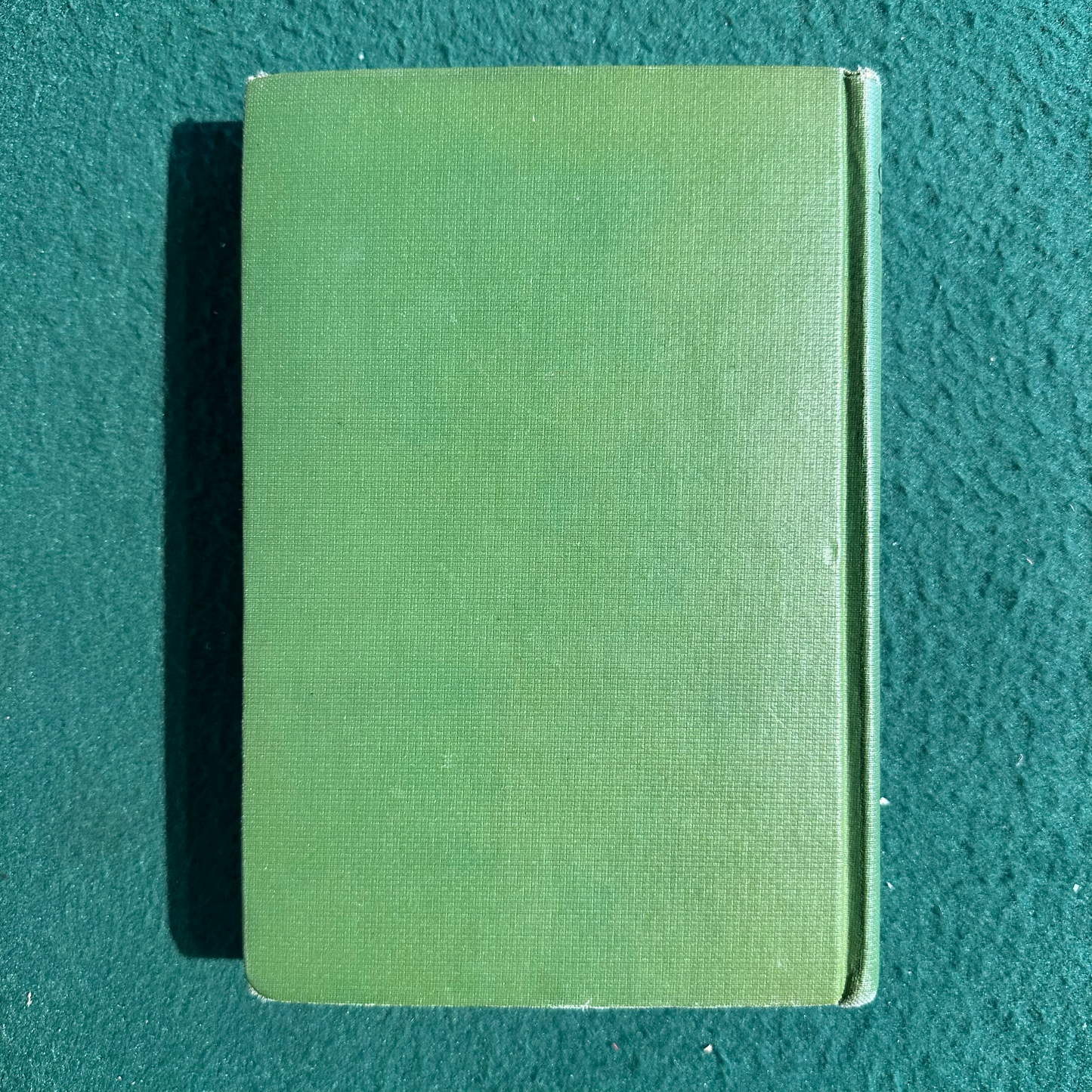 Antique Fiction Hardback: Andrew Lang - The Green Fairy Book