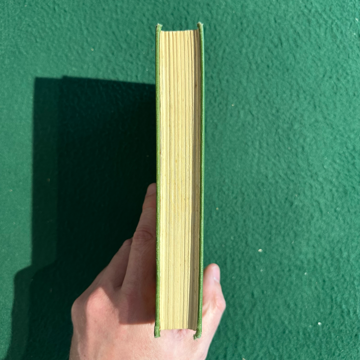 Antique Fiction Hardback: Andrew Lang - The Green Fairy Book