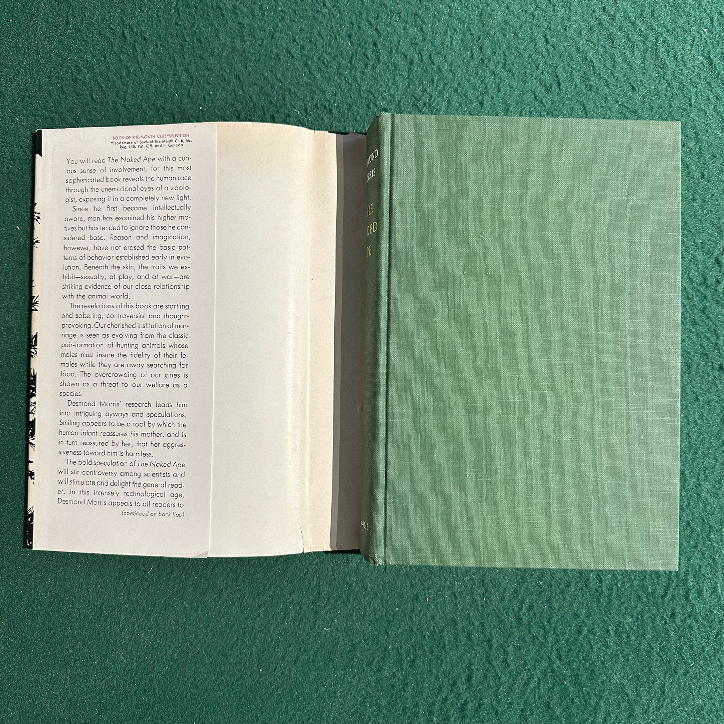 Vintage Non-Fiction Hardback: Desmond Morris - The Naked Ape BCE