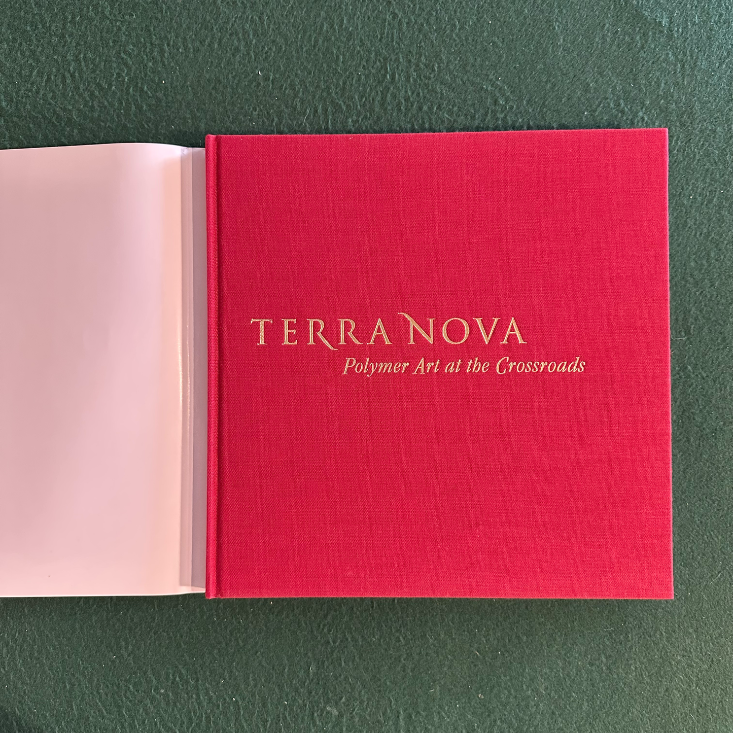 Art Hardcover: Terra Nova: Polymer Art at the Crossroads FIRST EDITION