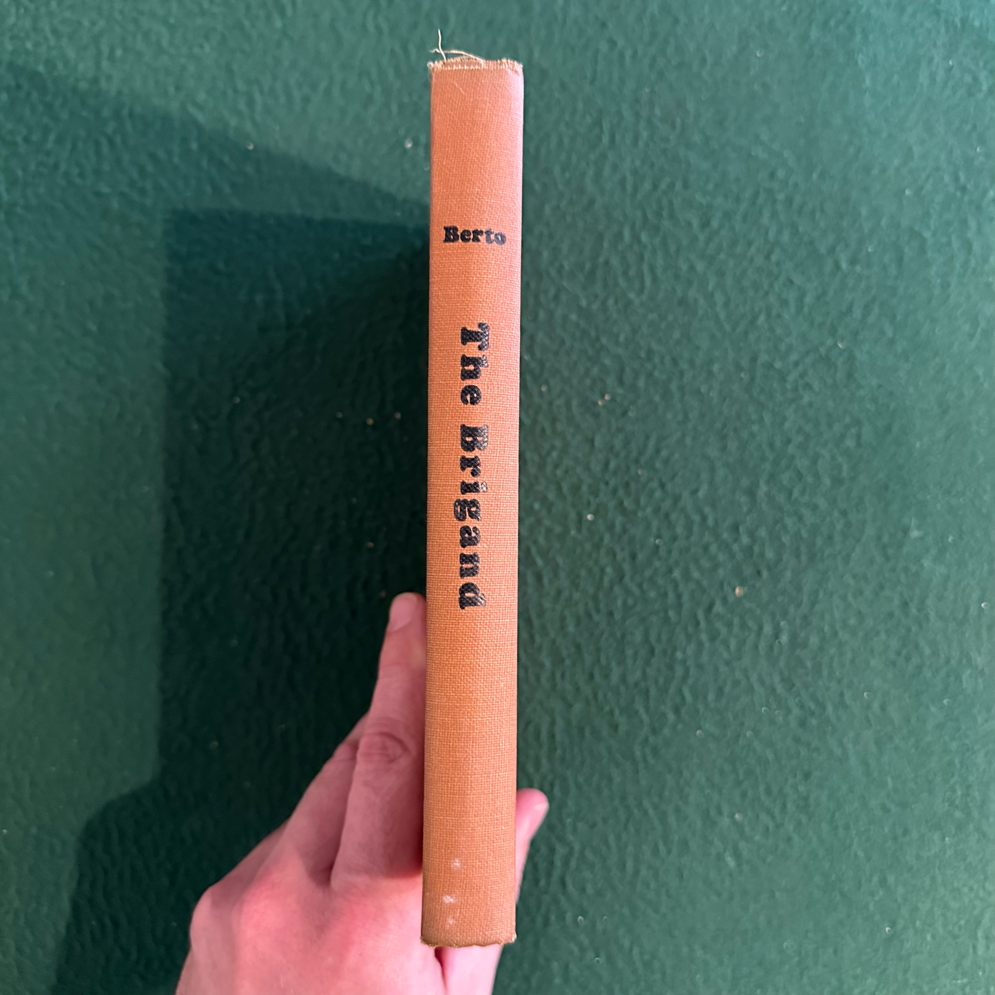 Vintage Fiction Hardcover: Giuseppe Berto - The Brigand