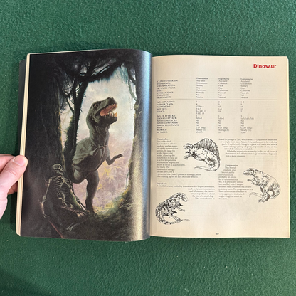 Vintage Advanced Dungeons & Dragons Accessory: Monstrous Compendium Annual Volume Two