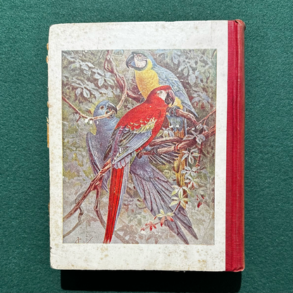 Antique Non-Fiction Hardback: Rev D C Eddy - All Aboard for Asia and Africa 1897