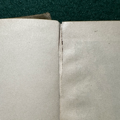 Antique Fiction Hardback: The Brothers Grimm - Fairy Tales, Altemus