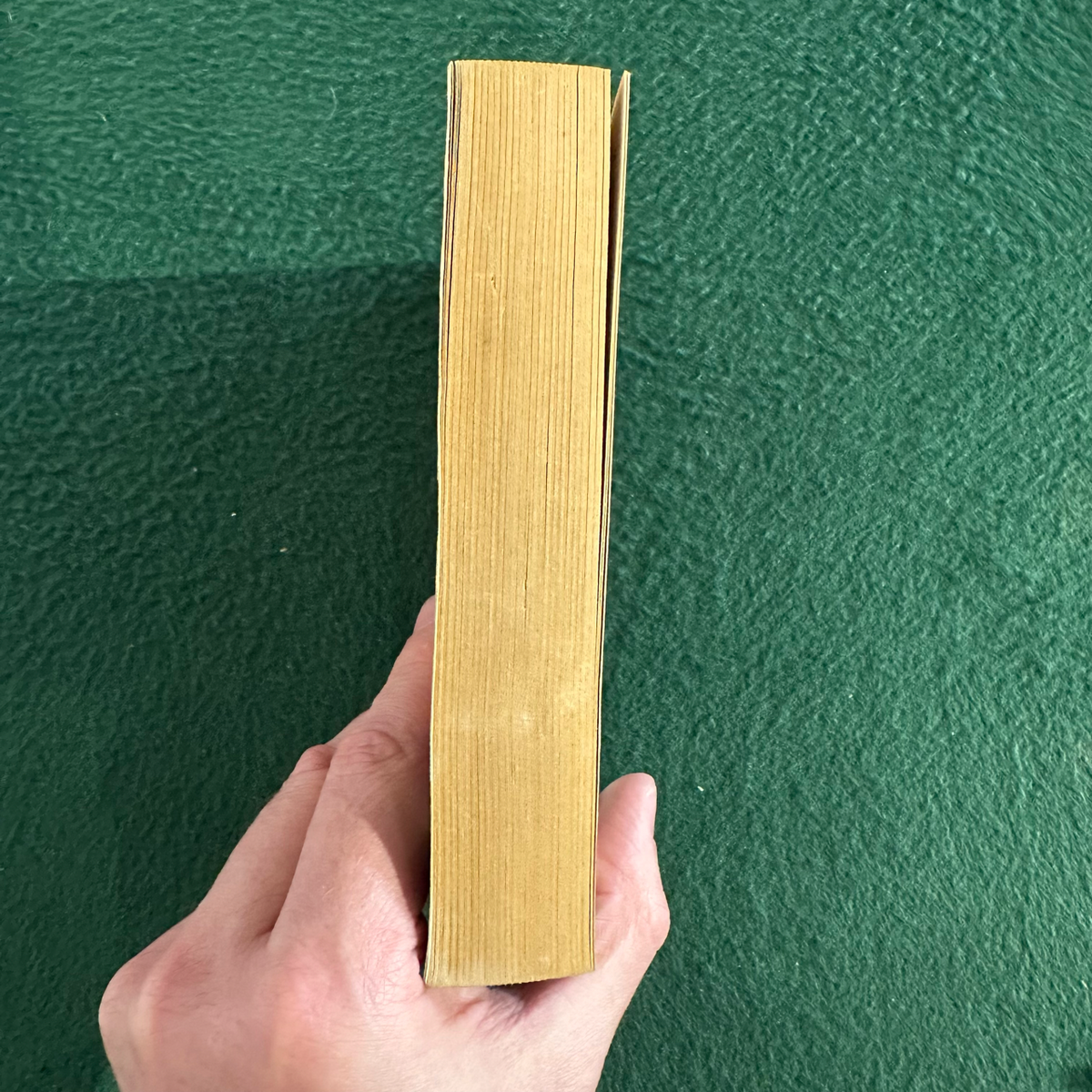 Vintage Horror Paperback: Jeffrey Sackett - The Demon FIRST PRINTING