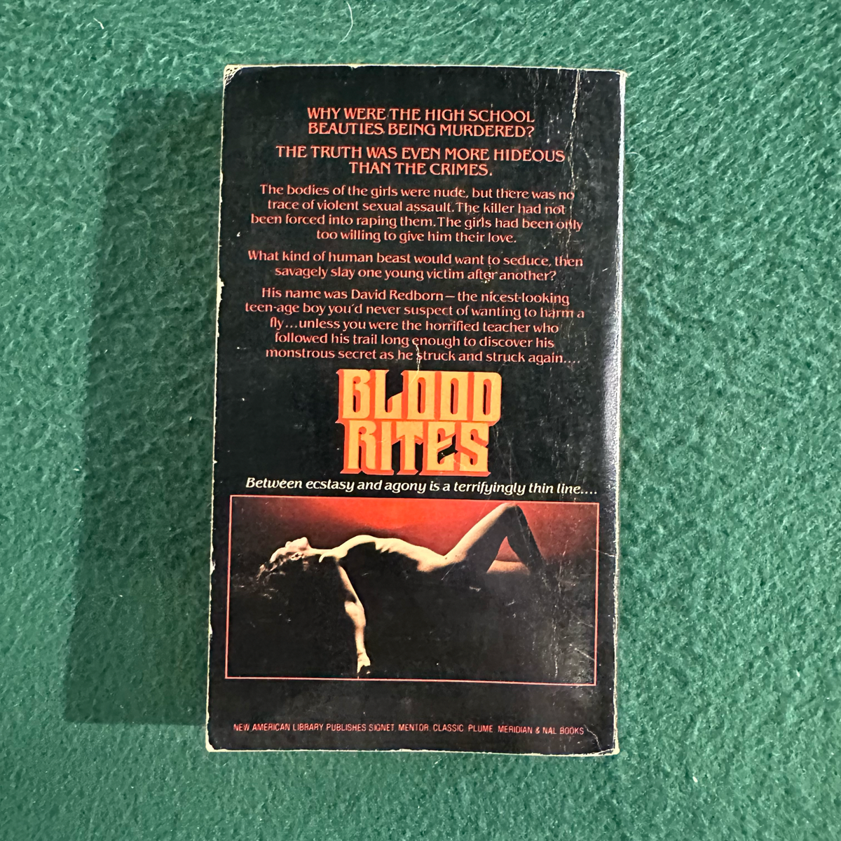 Vintage Horror Paperback: Barry Nazarian - Blood Rights FIRST PRINTING