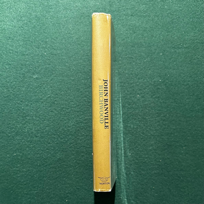 Vintage Fiction Hardback: John Banville - Birchwood 3RD PRINTING