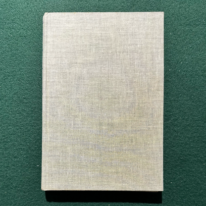 Vintage Fiction Hardback: John Banville - Birchwood 3RD PRINTING