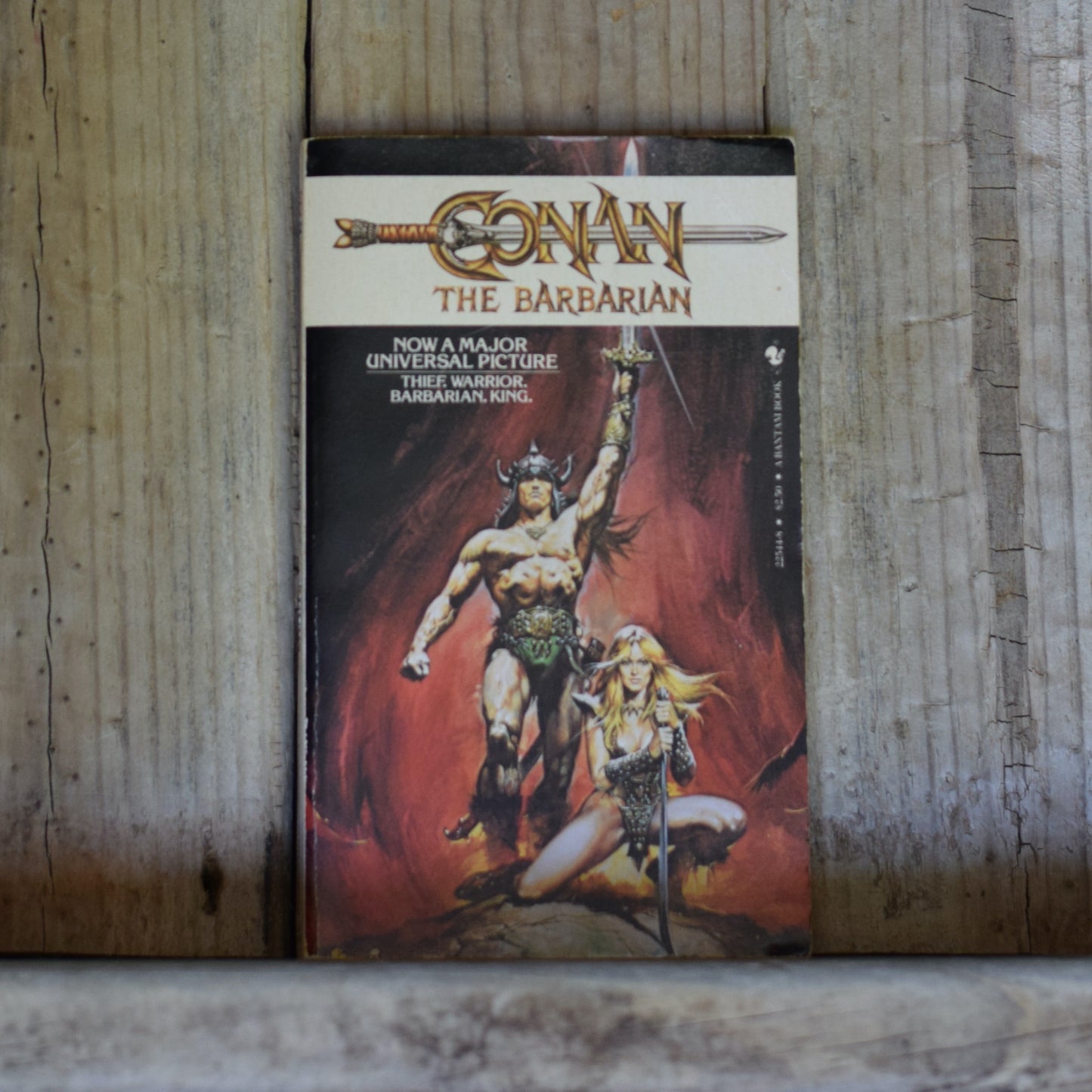 Vintage Fantasy Paperback: L Sprague de Camp and Lin Carter - Conan the Barbarian