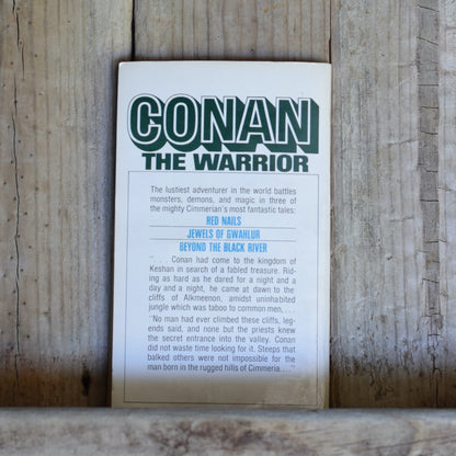 Vintage Fantasy Paperback: Robert E Howard and LSprague de Camp - Conan the Warrior