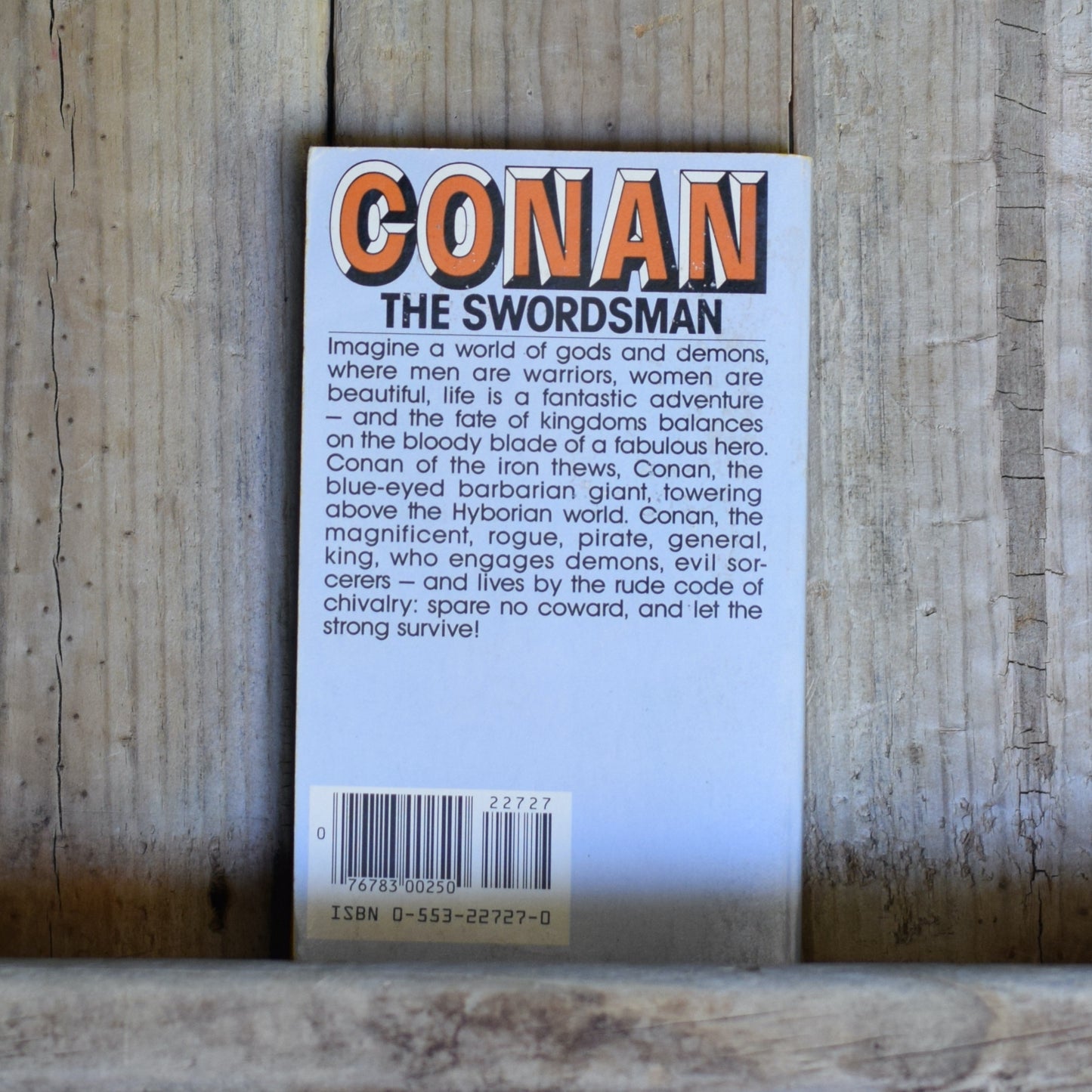 Vintage Fantasy Paperback: L Sprague de Camp, Lin Carter and Bjorn Nyberg - Conan the Swordsman 2nd PRINTING