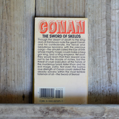 Vintage Fantasy Paperback: Andrew Offutt - Conan The Sword of Skelos
