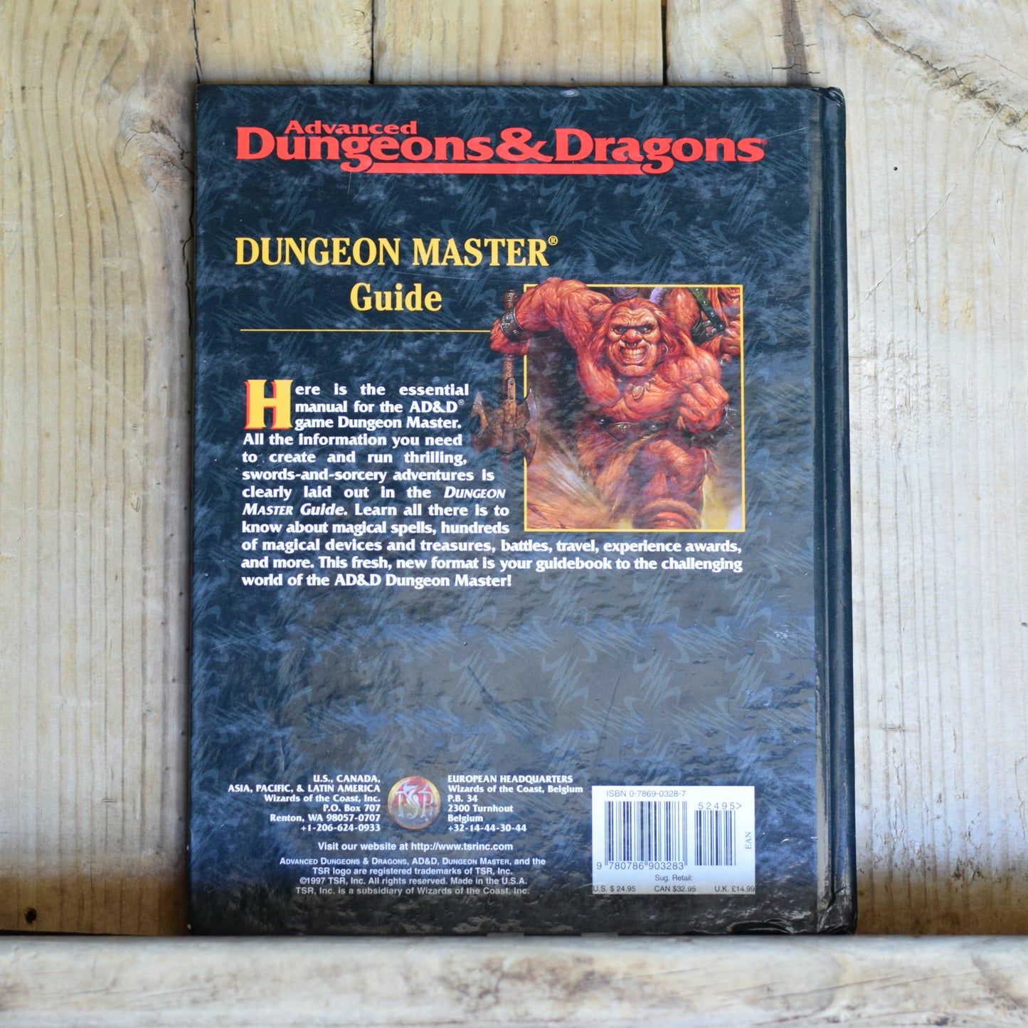 Vintage Dungeons and Dragons Hardback: Advanced Dungeons & Dragons 2e Dungeon Master Guide FIRST PRINTING