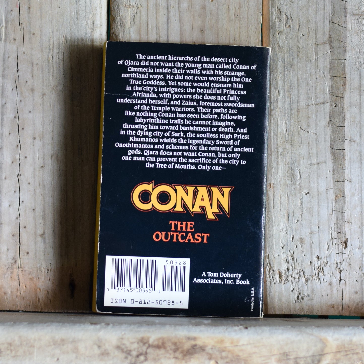 Vintage Fantasy Paperback: Leonard Carpenter - Conan the Outcast FIRST PRINTING