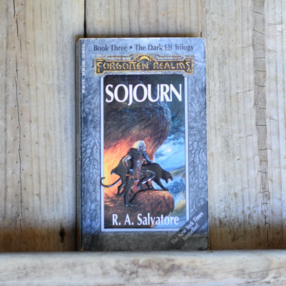 Vintage Dungeons and Dragons Paperback: R A Salvatore - Sojourn