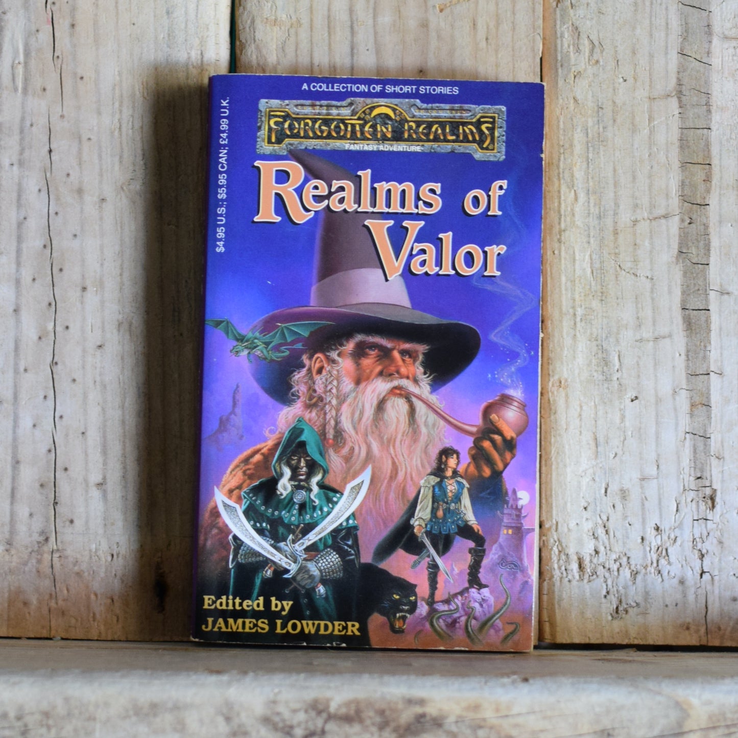 Vintage Dungeons and Dragons Paperback: Realms of Valor SECOND PRINTING