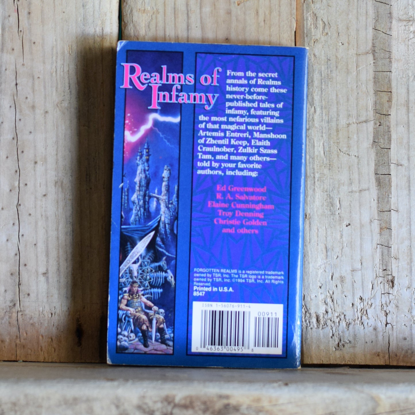 Vintage Dungeons and Dragons Paperback: Realms of Infamy - Edited by James Lowder FIRST PRINTING