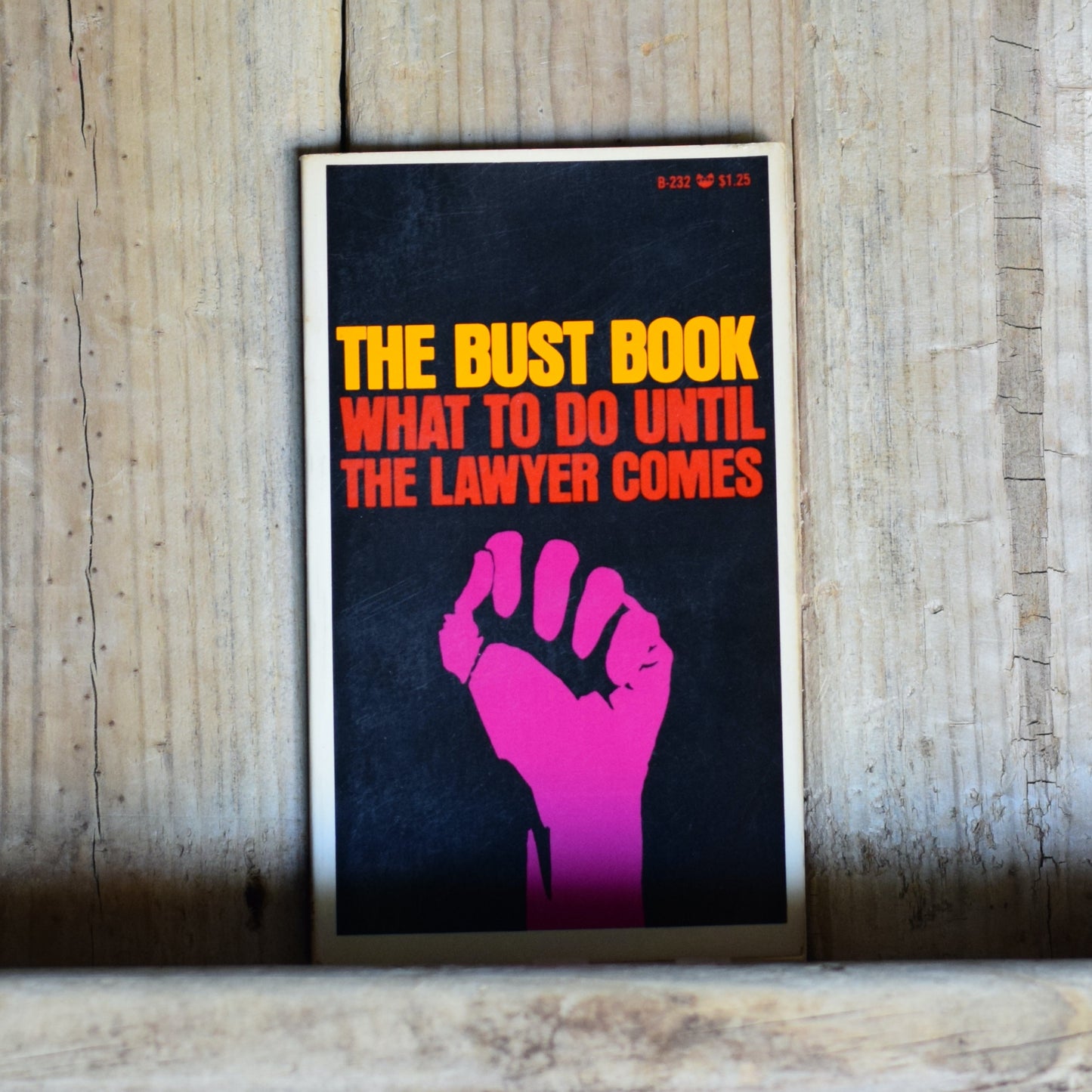 Vintage Non-fiction Paperback: The Bust Book - What to do Until the Lawyer Comes FIRST PRINTING
