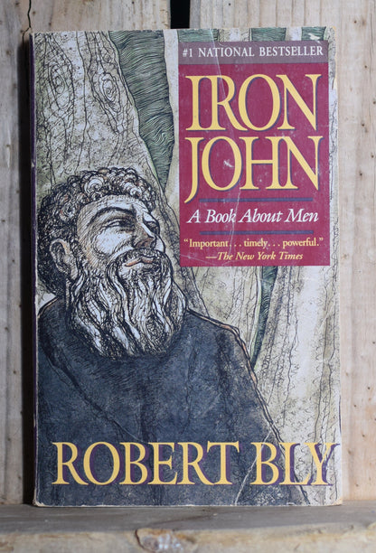 Vintage Paperback: Robert Bly - Iron John, A Book About Men