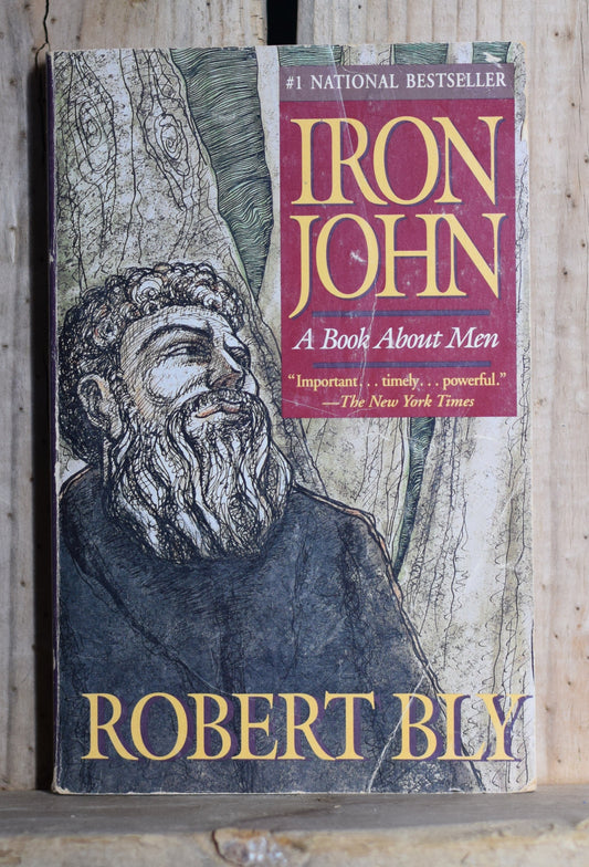 Vintage Paperback: Robert Bly - Iron John, A Book About Men