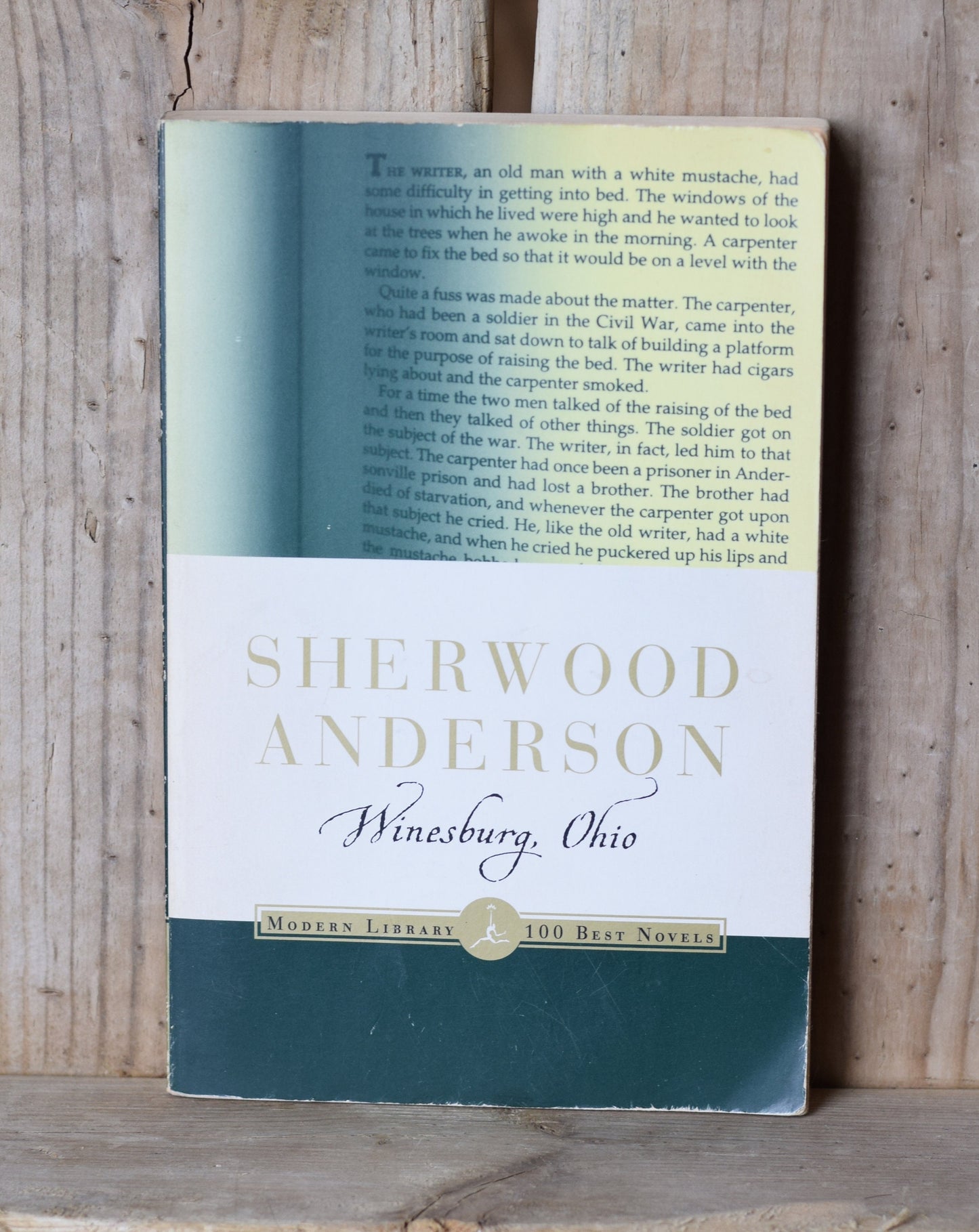 Vintage Fiction Paperback Novel: Sherwood Anderson - Winesburg, Ohio