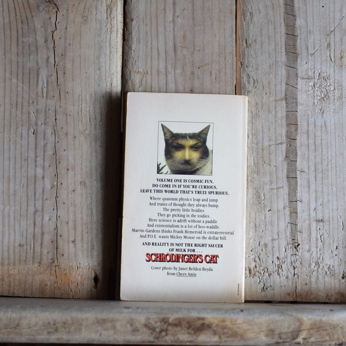 Vintage Fiction Paperback Novel: Robert Anton Wilson - Schrodinger's Cat FIRST EDITION