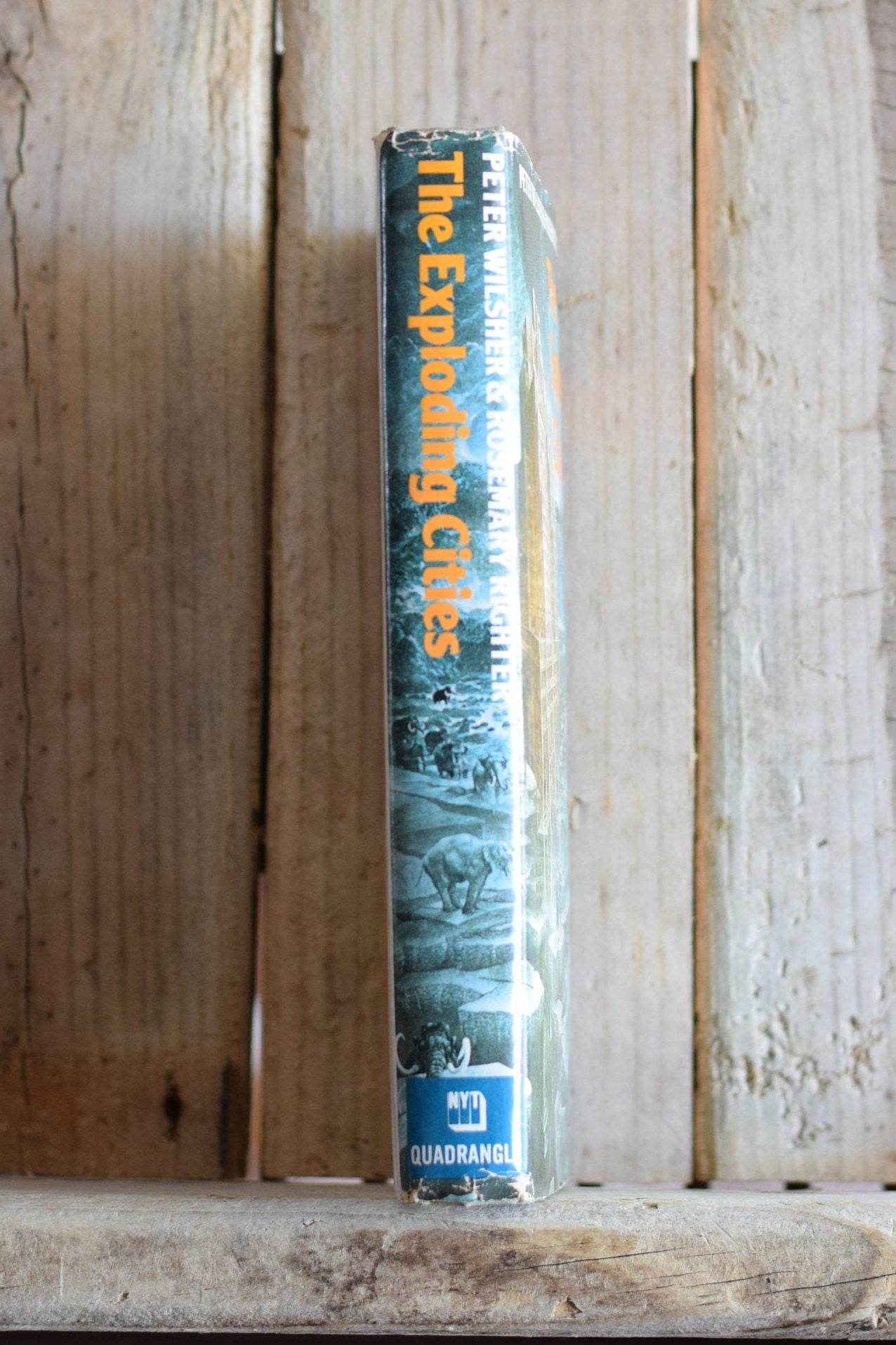 Vintage Non-Fiction Hardback: Peter Wilsher and Rosemary Righter - The Exploding Cities